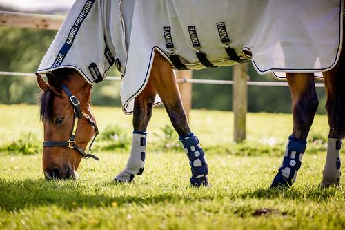 Show full view: Horseware Ireland Horse Fly Boots, Navy, Cob slide 1 of 3