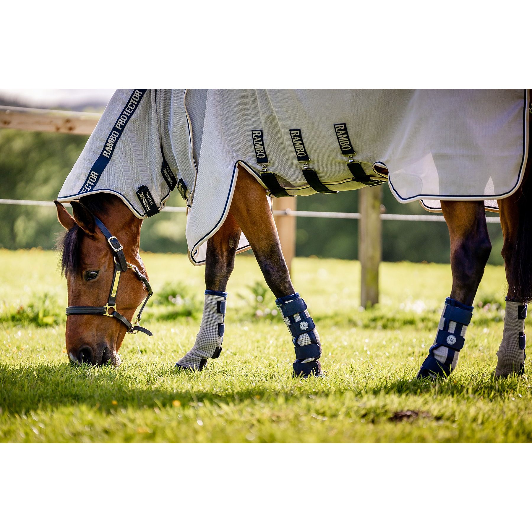 Horseware Ireland Horse Fly Boots, Navy, Pony