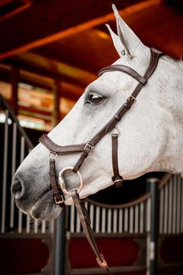 Show full view: Horseware Ireland Micklem 2 Competition Horse Bridle with Reins, Brown, Large Cob slide 1 of 4