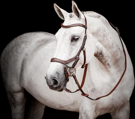 Show full view: Horseware Ireland Micklem 2 Competition Horse Bridle with Reins, Brown, Large Cob slide 4 of 4
