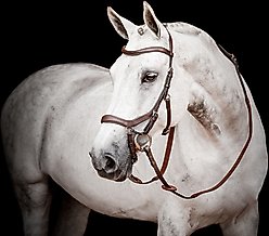 Horseware Ireland Micklem 2 Competition Horse Bridle with Reins, Brown, Large Horse slide 2 of 4