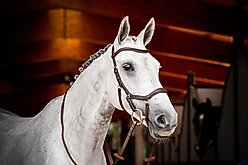 Horseware Ireland Micklem 2 Competition Horse Bridle with Reins, Brown, Small Horse slide 2 of 4