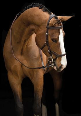 Show full view: Horseware Ireland Micklem 2 Competition Horse Bridle with Reins, Brown, Small Horse slide 3 of 4