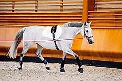 Horseware Ireland Micklem 2 Multi-Bridle with Reins, Brown, Large Cob slide 2 of 4