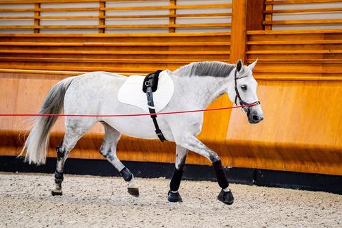 Show full view: Horseware Ireland Micklem 2 Multi-Bridle with Reins, Brown, Large Cob slide 2 of 4
