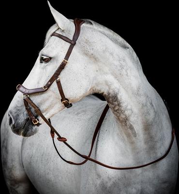 Show full view: Horseware Ireland Micklem 2 Multi-Bridle with Reins, Brown, Large Cob slide 3 of 4