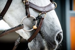 Horseware Ireland Micklem 2 Multi-Bridle with Reins, Brown, Standard Horse