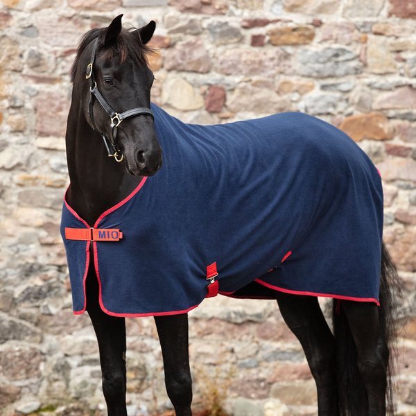 Coperta Invernale Pesante Horze Nevada Per Cavallo 400g - Impermeabile E Antivento - Taglia 145 Cm - Colore Nero - 2