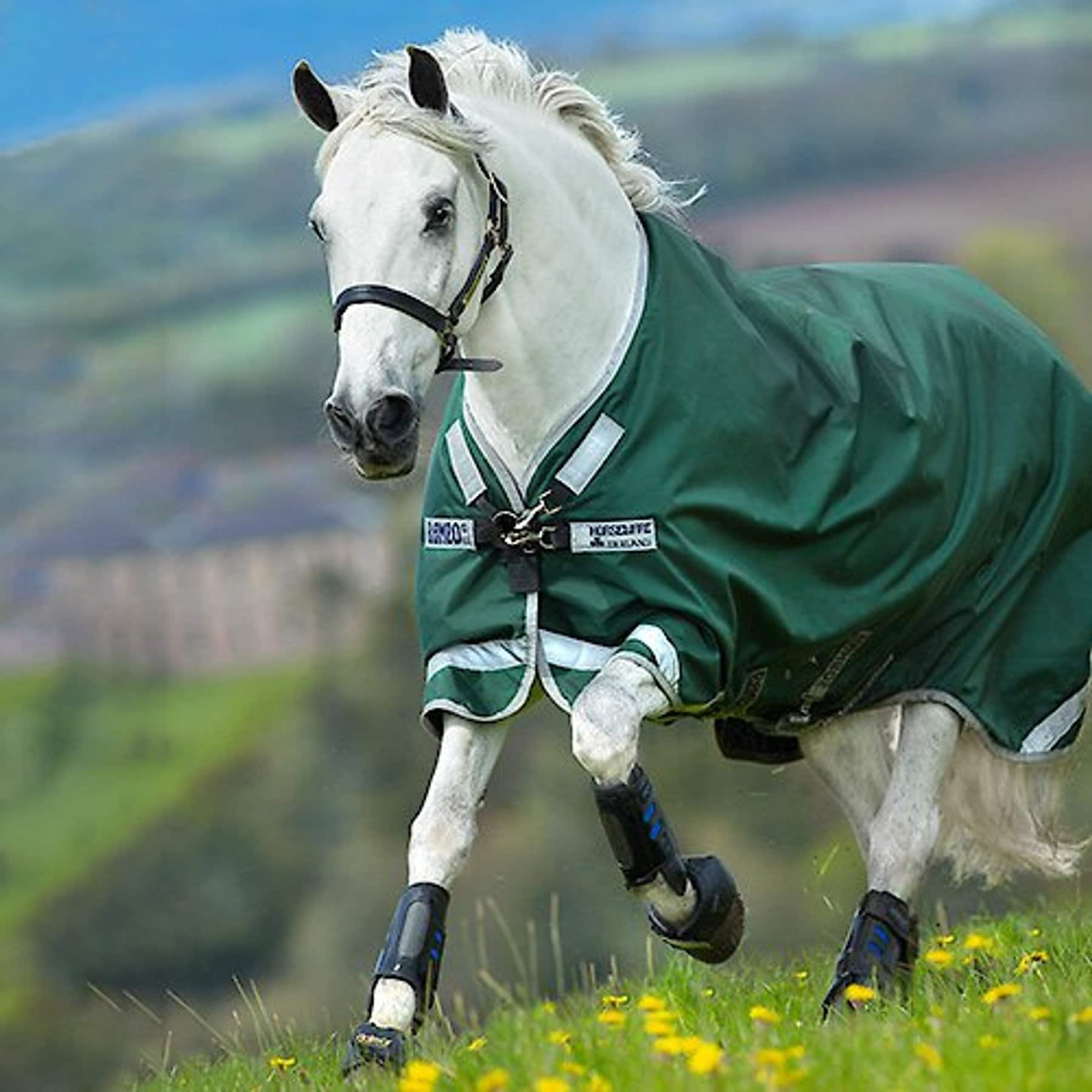 Horseware RAMBO Original with Leg Arches Horse Turnout Sheet, Green & Silver, 75