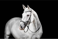 Horseware Micklem Competition Horse Bridle, Black, Extra Full