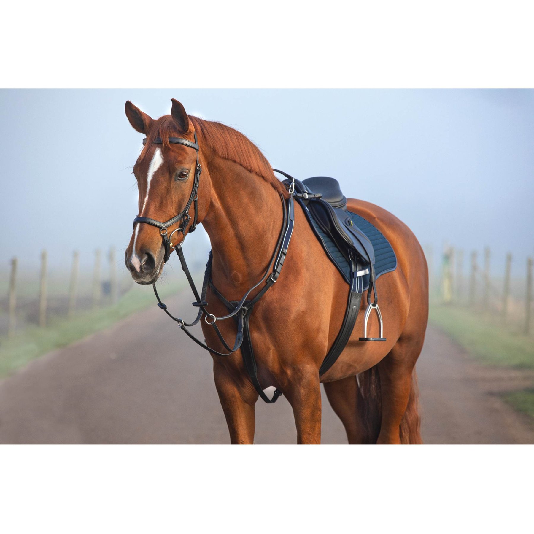Horseware Micklem Horse Breastplate with Martingale, Black, Full