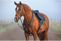 Horseware Micklem Horse Breastplate with Martingale, Brown, Extra Full