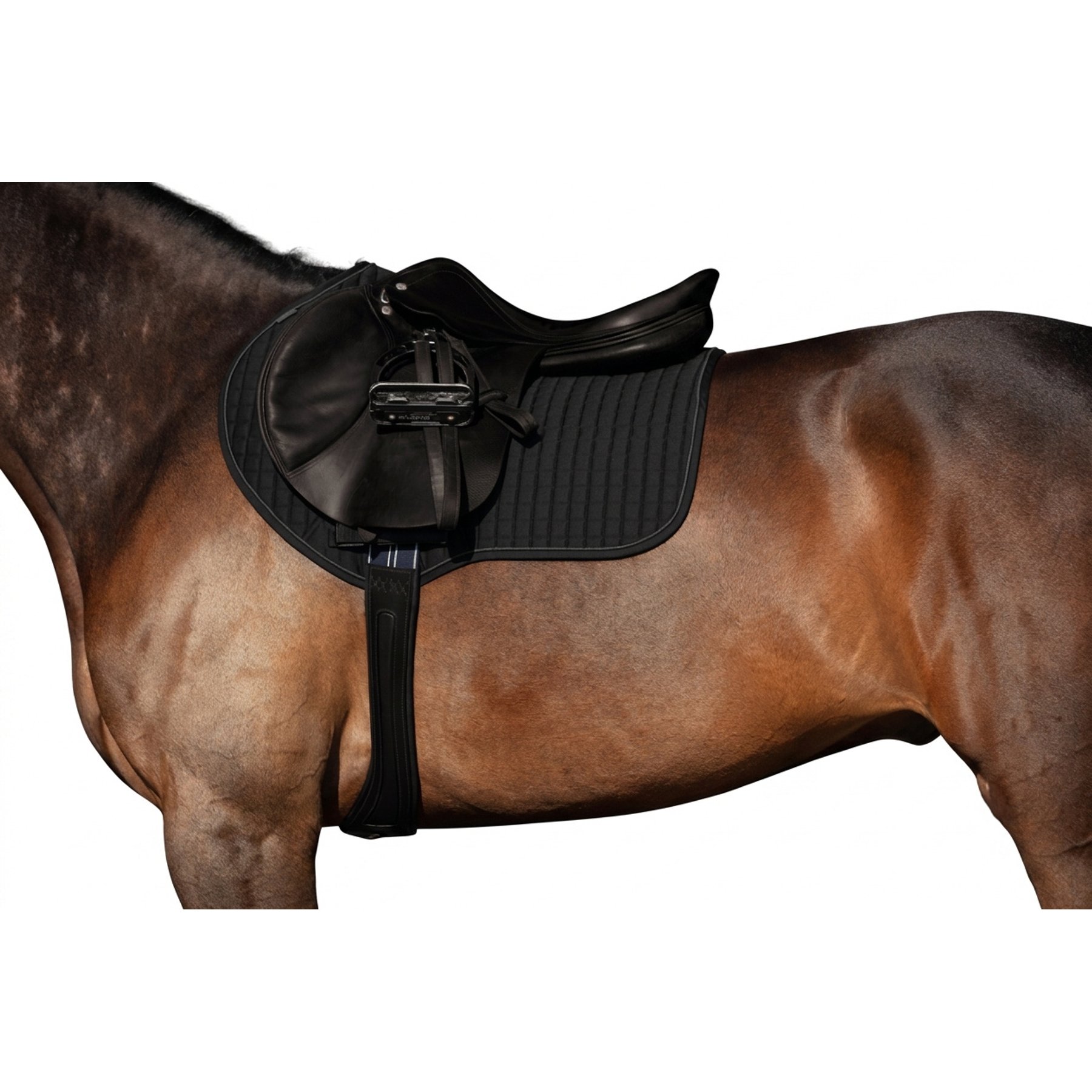 Horseware Micklem Horse Long Comfort Girth, Black, 43-in