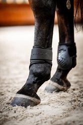 Horseware Pro Bamboo Fetlock Horse Boots, Black, Large