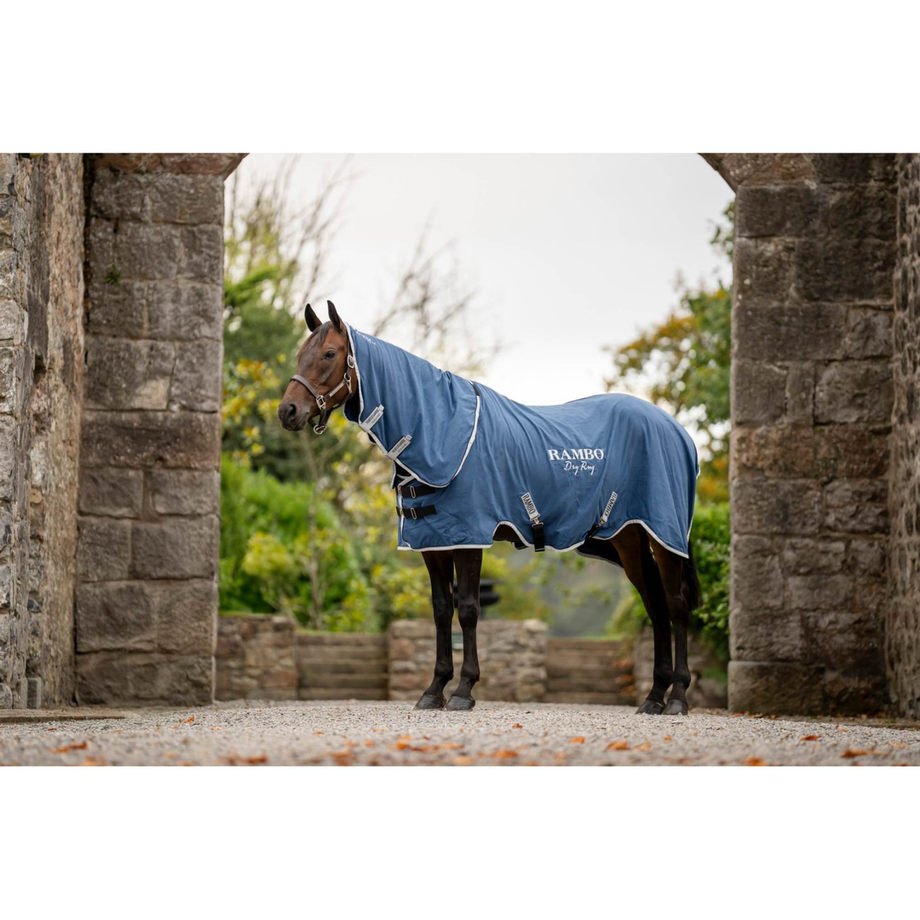 Horseware Rambo Supreme Horse Dry Rug, Navy/Silver, Medium