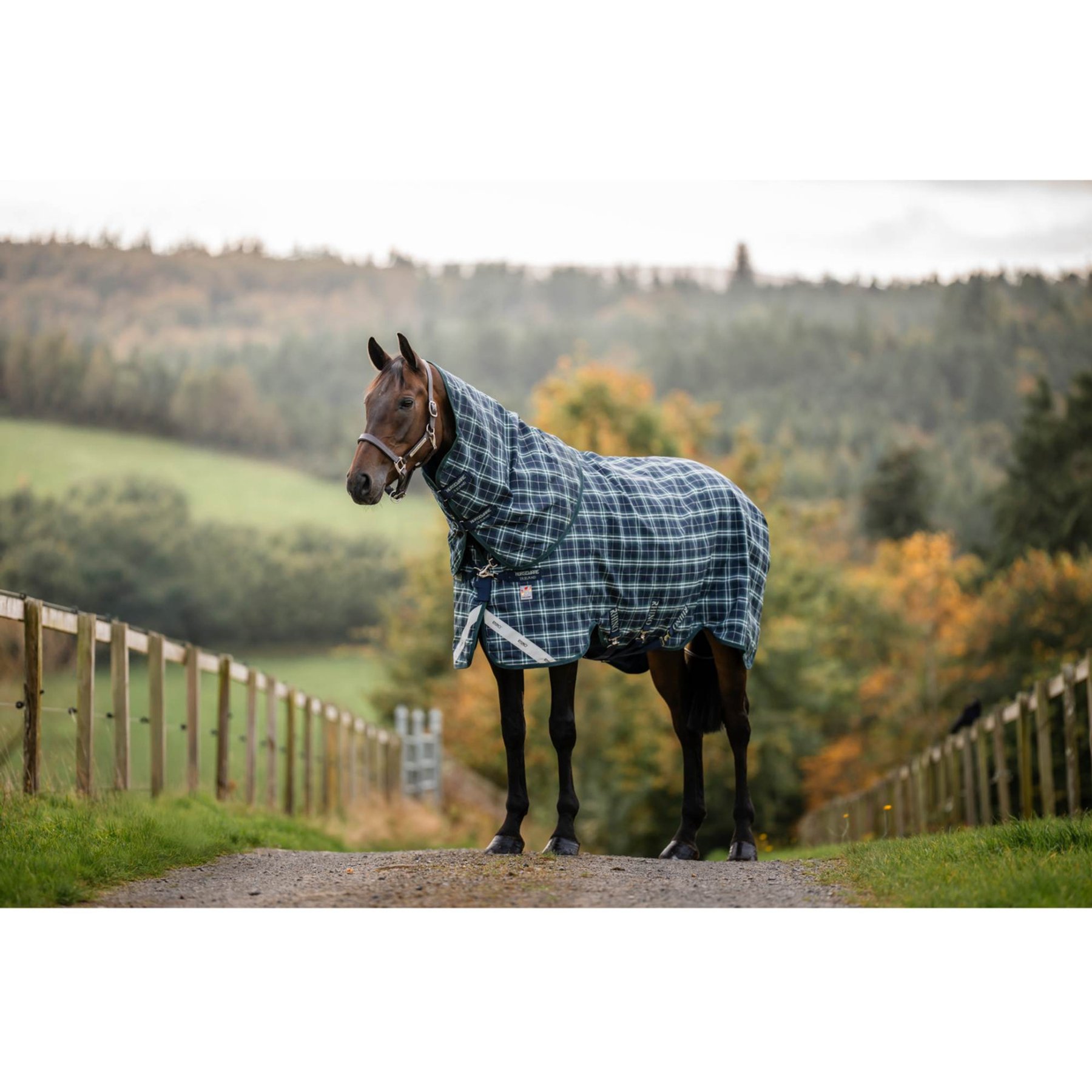 Horseware Rhino Wug Varei-Layer 250g Horse Turnout, Hunter Check/Green/Navy, 66