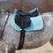 Show in main carousel: Horze Adepto All Purpose Saddle Pad, Canal Blue slide 5 of 6