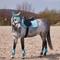 Show in main carousel: Horze Adepto All Purpose Saddle Pad, Canal Blue slide 4 of 6