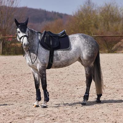 Show full view: Horze Adepto All Purpose Saddle Pad, Dark Navy slide 3 of 4