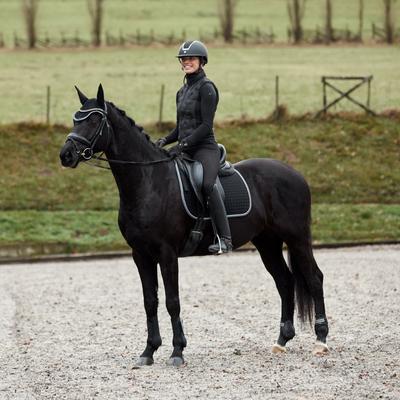 Show full view: Horze Adepto Tendon Horse Boots, 2 count, Black, Cob slide 2 of 5