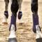 Show in main carousel: Horze Adepto Tendon Horse Boots, 2 count, Blackcurrant Purple, Horse slide 3 of 7