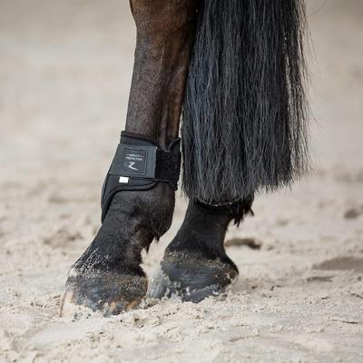 Show full view: Horze Armour Airflow Tendon & Fetlock Horse Boot Set, Black, Horse slide 5 of 8
