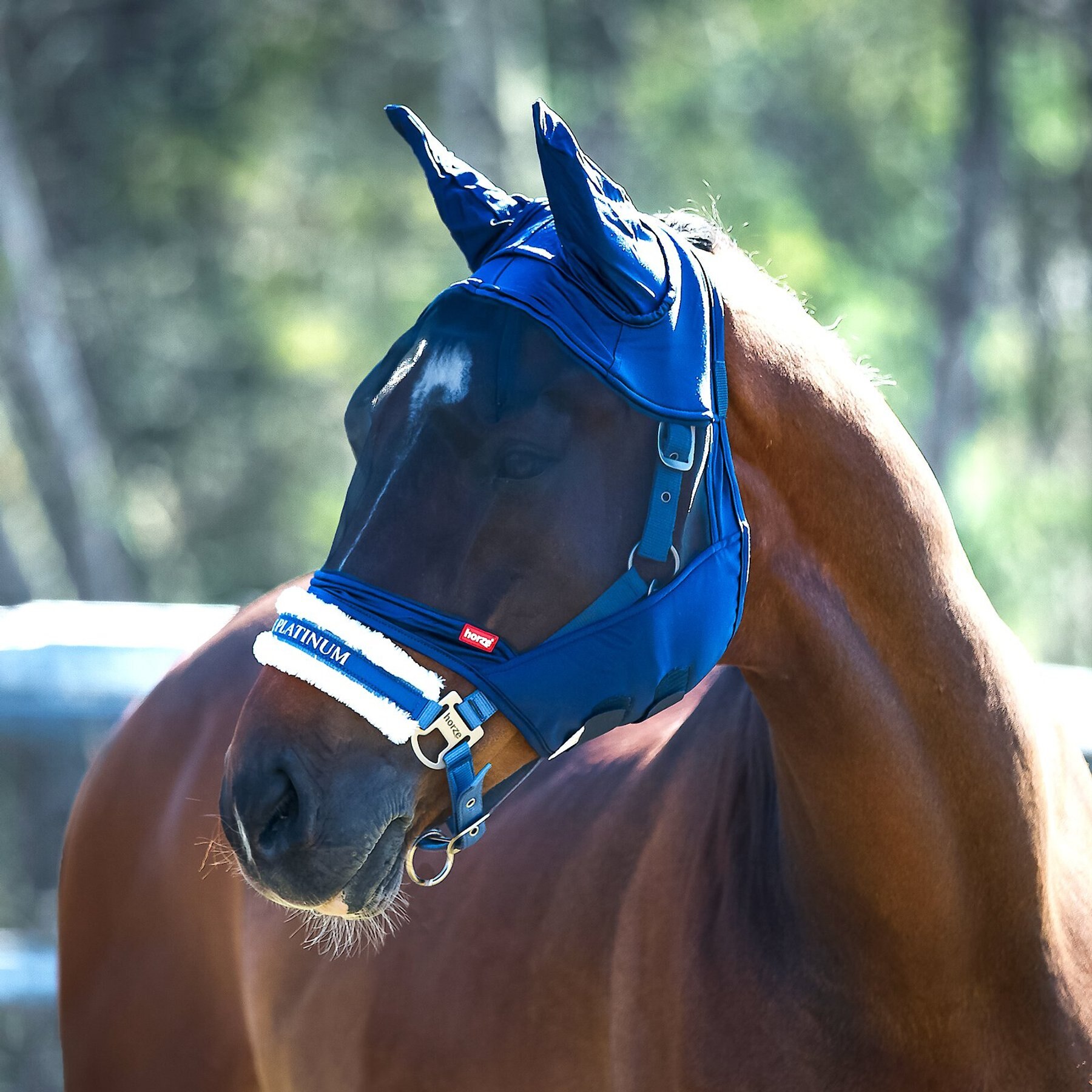 Horze Cayman Horse Fly Mask, Blue, X-Large