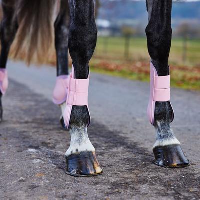 Show full view: Horze Chicago Tendon Open Front Horse Boots, 2 count, Lady Light Pink, Horse slide 5 of 11