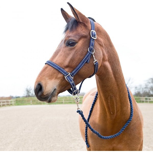 HORZE Cooper Halter Horse Lead Ropes, Peacoat Dark Blue, Pony - Chewy.com