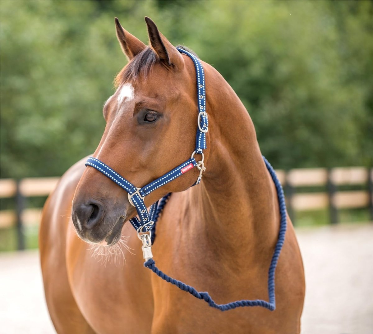 Horze Cooper Halter Horse Lead Ropes