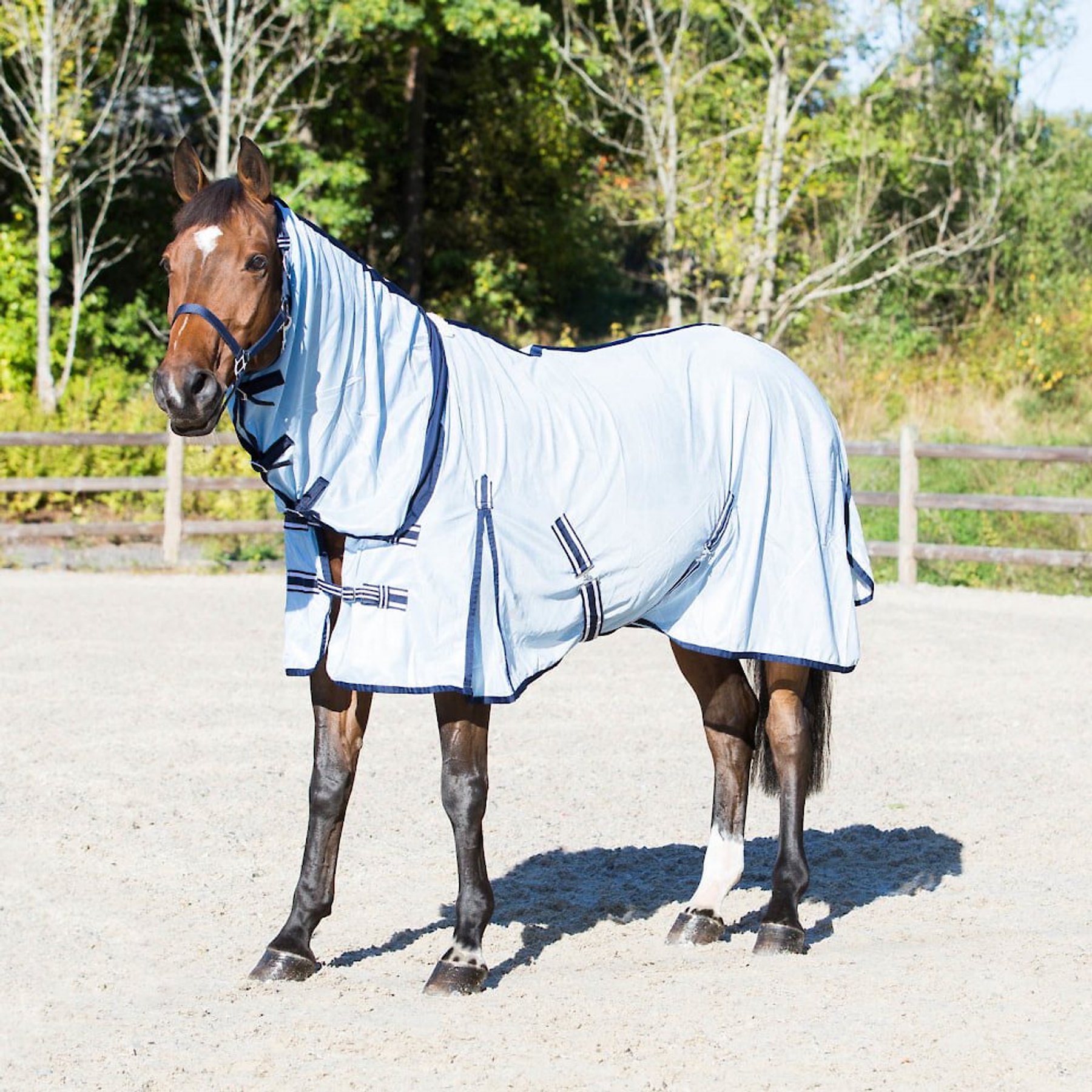 Horze Freja Combo Flexi Neck Horse Fly Sheet, Light Blue, 81