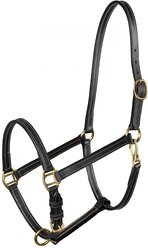 Horze Fremont Leather Horse Halter, Black, Cob