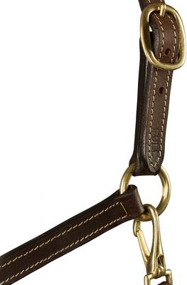 Show full view: Horze Fremont Leather Horse Halter, Brown, Pony slide 3 of 4