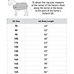 Show in main carousel: Horze Glasgow Light Weight Combo Turnout Horse Sheet, 81 slide 2 of 6
