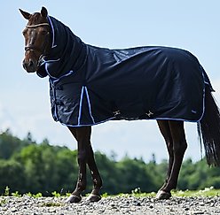 Horze Glasgow Medium Weight Combo 150-g Horse Turnout Blanket, Dark Blue, 78-in