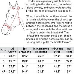 Horze Grayson Classic Dressage Ergonomic Horse Bridle, Horse slide 2 of 9