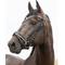 Show in main carousel: Horze Grayson Classic Dressage Ergonomic Horse Bridle, Pony slide 8 of 9