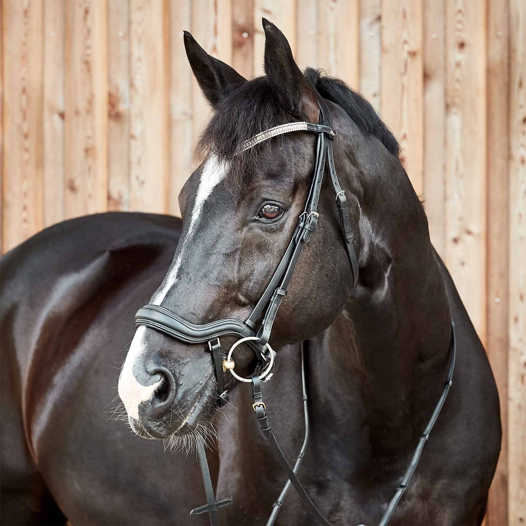 Horze Highbury Anatomical Crystal Dressage Horse Bridle, Black, Horse