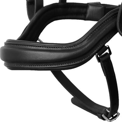 Show full view: Horze Highbury Anatomical Crystal Dressage Horse Bridle, Black, Pony slide 5 of 6