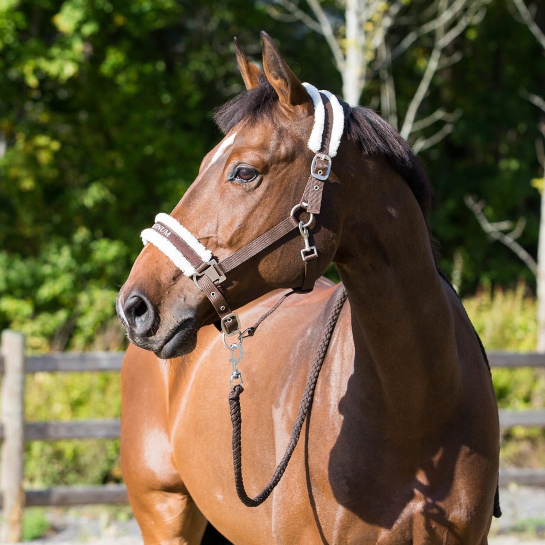 Horze Howard Horse Halter, Dark Brown, Warmblood