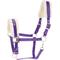 Show in main carousel: Horze Howard Horse Halter, Purple, Horse slide 2 of 3