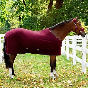 Horze Kiel Fleece Horse Cooler, Dark Red, 75-in