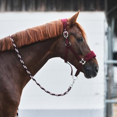 Show full view: Horze Kiel Horse Halter with Fleece, Dark Red, Cob slide 4 of 5