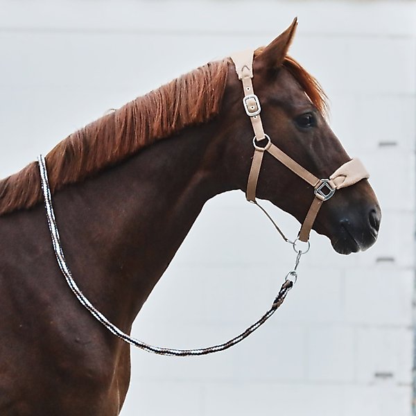 Show full view: Horze Kiel Horse Halter with Fleece, Tan, Horse slide 3 of 3