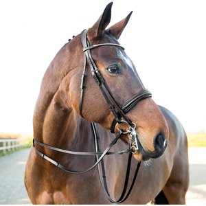 Horze Laelia Leather Horse Reins with Stops, Black, Horse