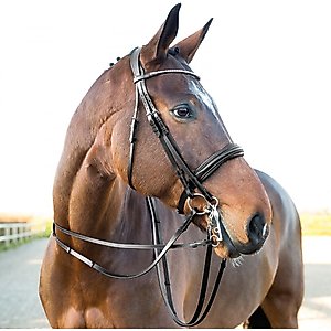 Horze Laelia Leather Horse Reins with Stops, Black, Pony