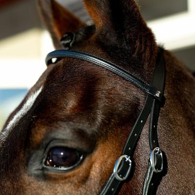 Show full view: Horze Leather Bitless Horse Bridle, Black, Cob slide 9 of 9