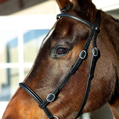 Show full view: Horze Leather Bitless Horse Bridle, Black, Pony slide 5 of 9