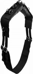 Horze Lunging Surcingle, Black, Horse slide 1 of 6