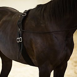 Horze Lunging Surcingle, Black, Horse slide 2 of 6